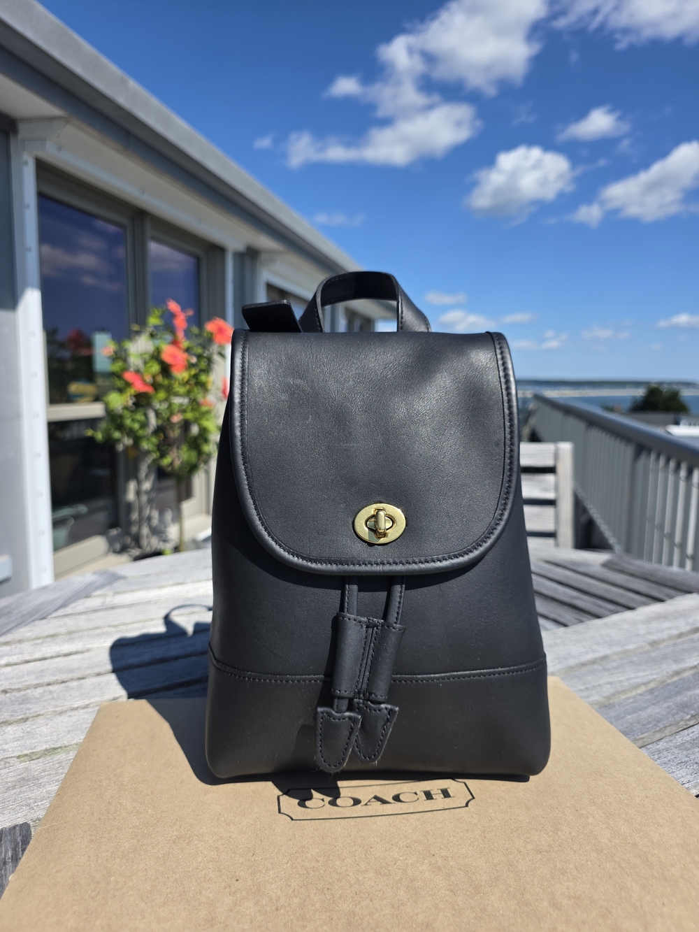 Vintage Coach Daypack